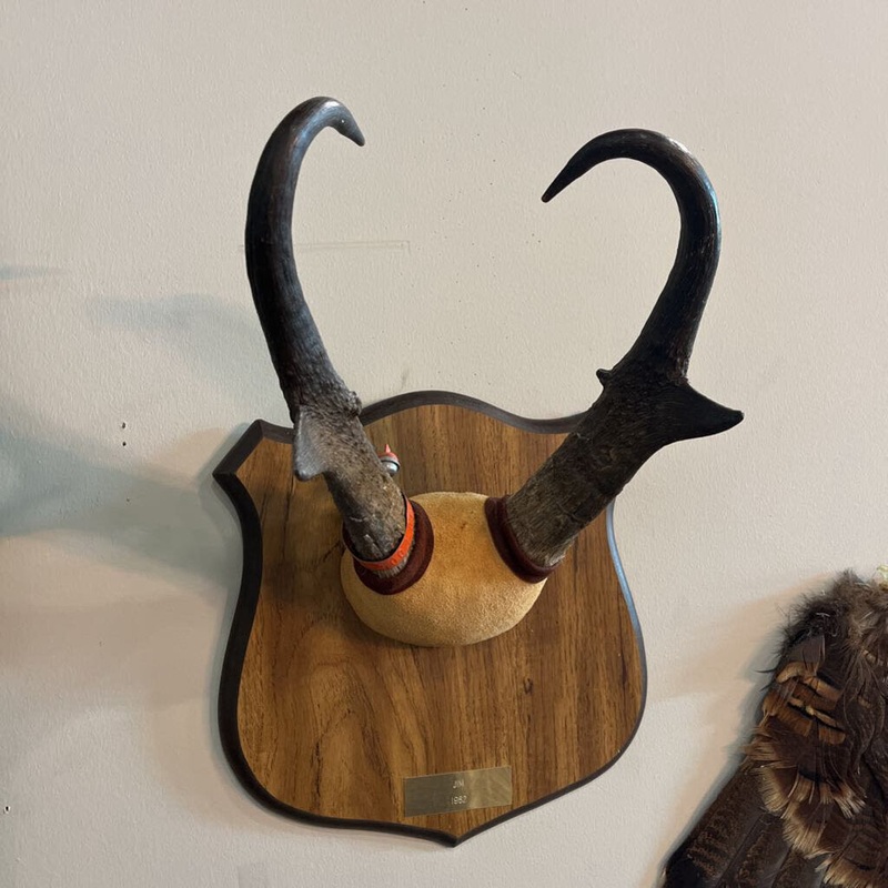 Pronghorn Euro Mount