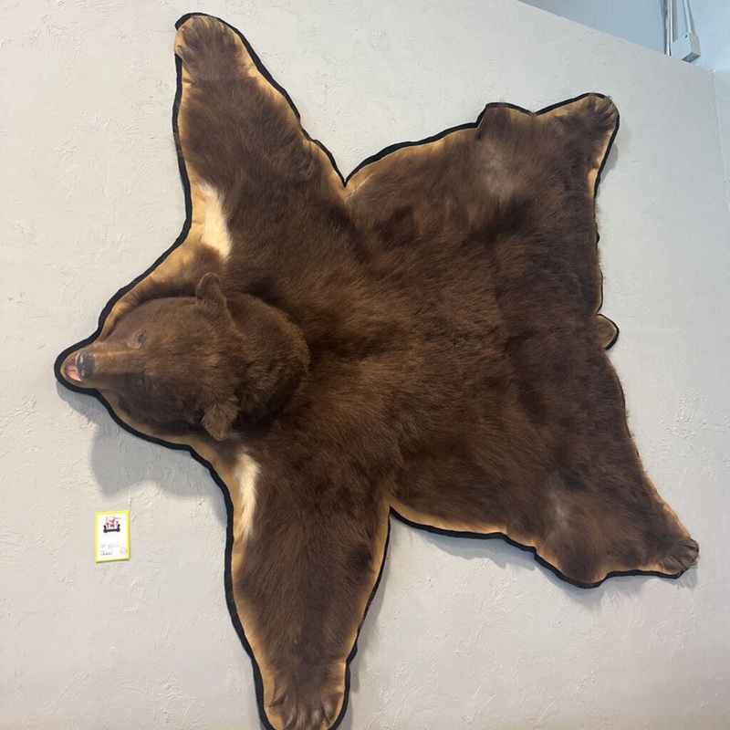Grizzly Bear Pelt Rug