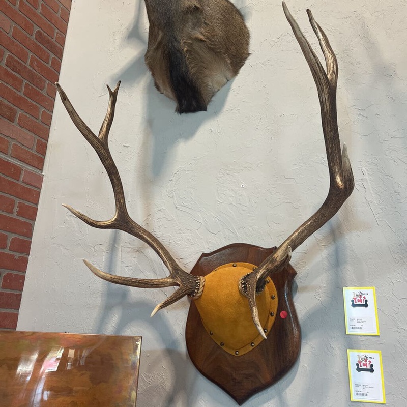 Elk Rack Mount