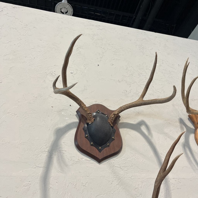 Deer Rack Mount w/ Blk Base