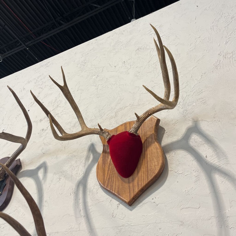 Deer Rack Mount w/ Red Base