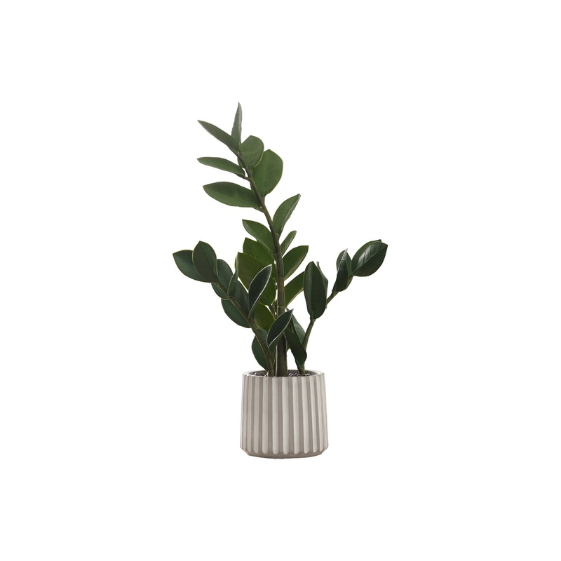20" Tall, Artificial Plant, Zz, Indoor, Faux, Fake, Table, Greenery, Potted, Real Touch, Decorative - Green / Gray