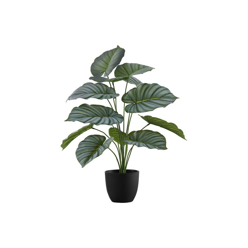 24" Tall, Artificial Plant, Calathea, Indoor, Faux, Fake, Table, Greenery, Potted, Real Touch, Decorative - Green / Black