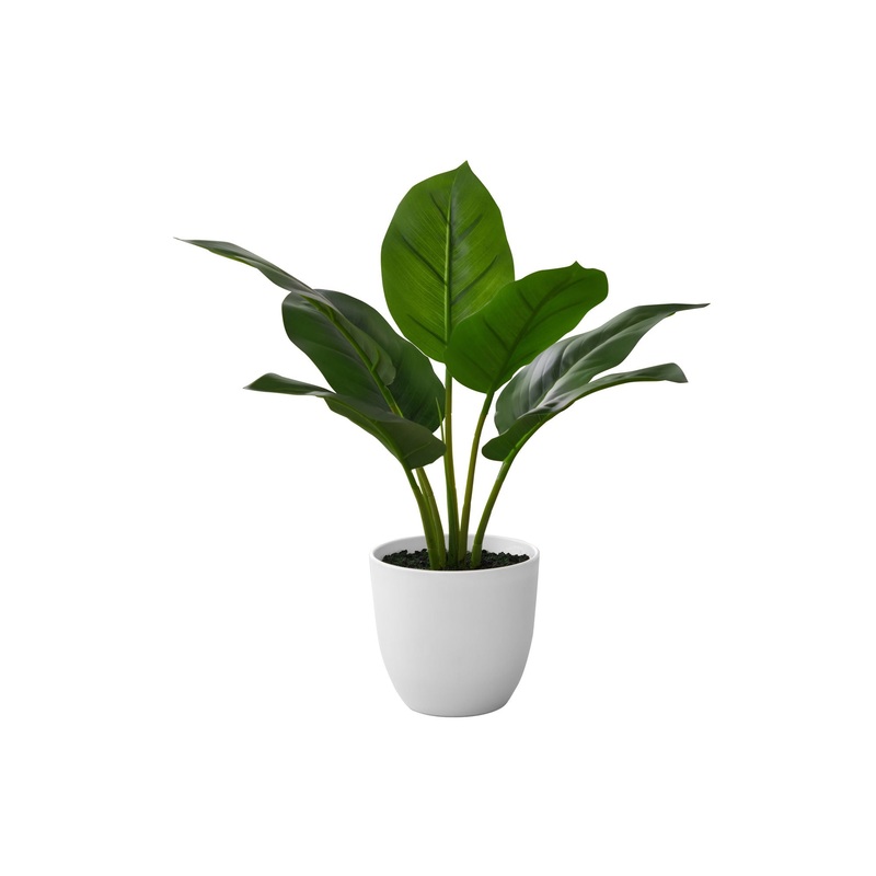 17" Tall, Artificial Plant, Aureum, Indoor, Faux, Fake, Table, Greenery, Potted, Real Touch, Decorative - Green / White