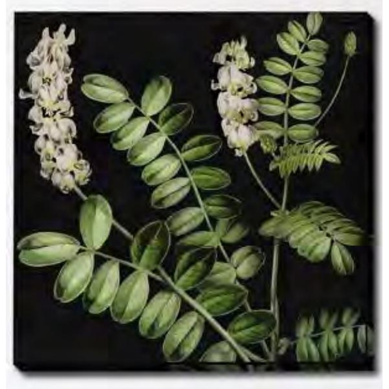 Streamline Art Dcor pour la maison Art Mural AFF36442