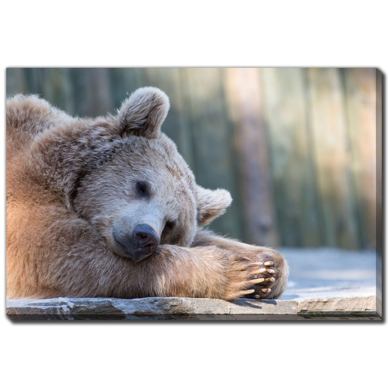 Streamline Art Dcor pour la maison Art Mural D3561-3045