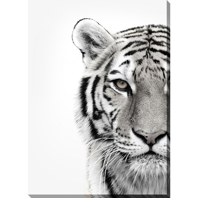 Streamline Art Dcor pour la maison Art Mural D1034-3045